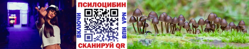 Псилоцибиновые грибы Cubensis  Абинск 